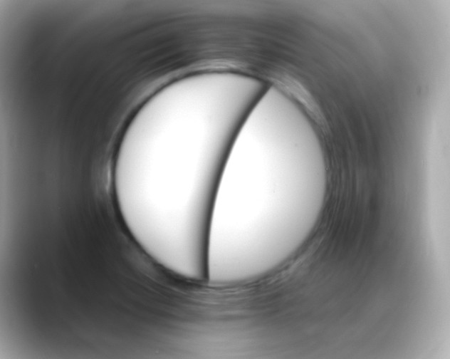 X0000088461420200706051316