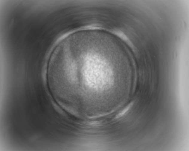 X0000088461421200706051316