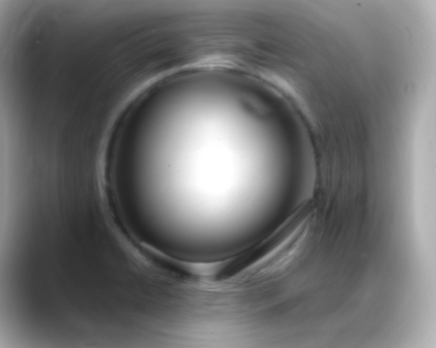 X0000088461422200706051316