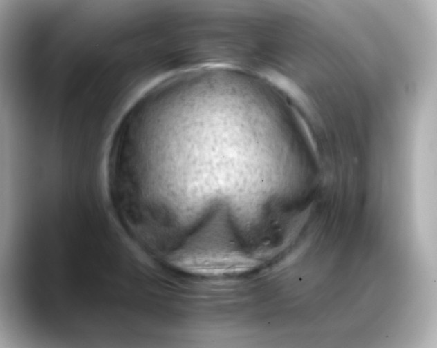 X0000088461423200706051316