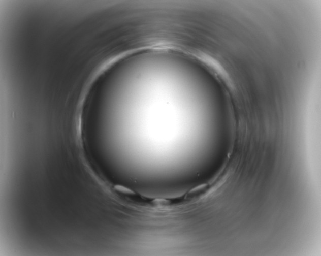 X0000088461424200706051316