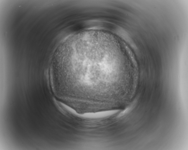 X0000088461425200706051316