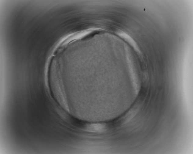 X0000088461427200706051316