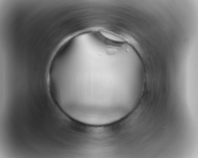 X0000088461428200706051316