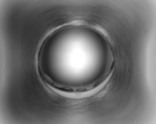 X0000088461430200706051316