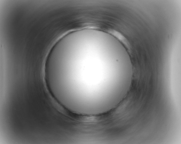 X0000088461431200706051316