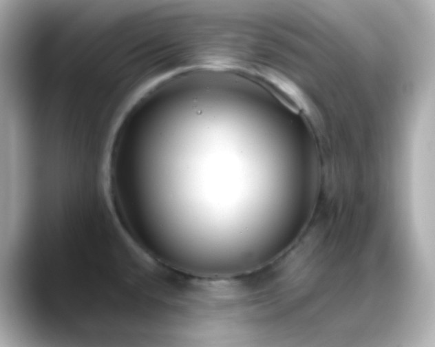 X0000088461432200706051316