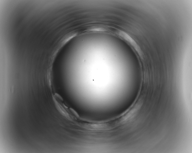 X0000088461433200706051316