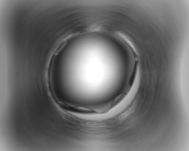 X0000088461434200706051316