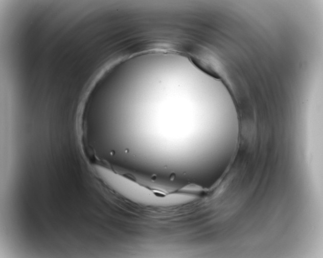 X0000088461435200706051316