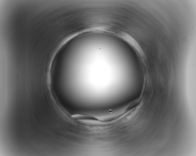 X0000088461436200706051316