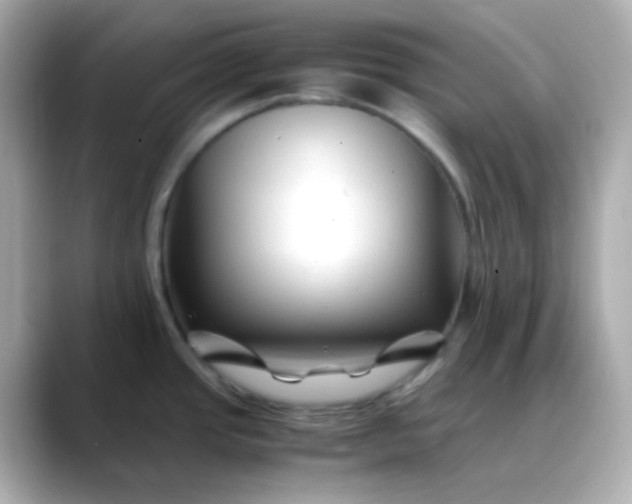 X0000088461437200706051316