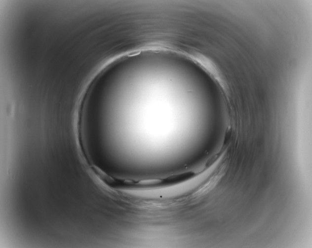 X0000088461438200706051316