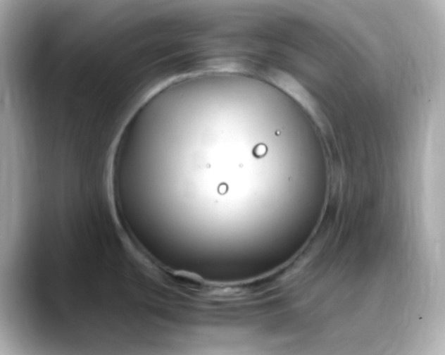 X0000088461439200706051316