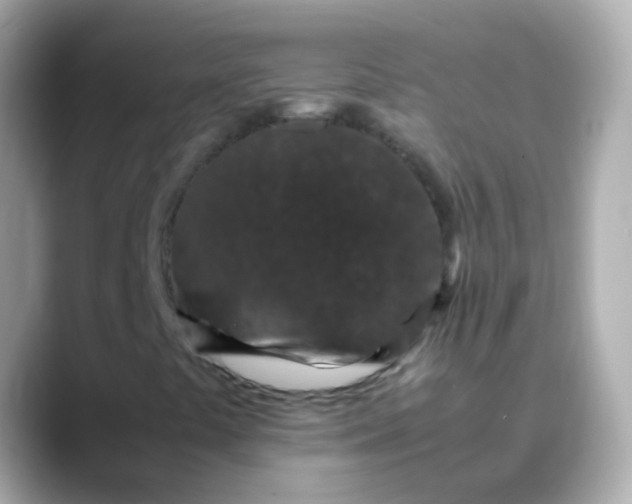 X0000088461441200706051316