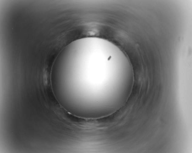 X0000088461442200706051316