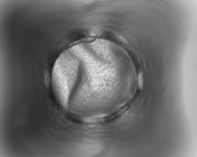 X0000088461443200706051316