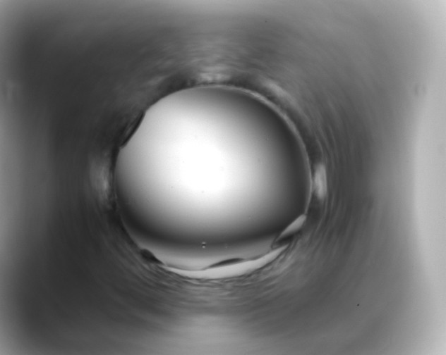 X0000088461444200706051316