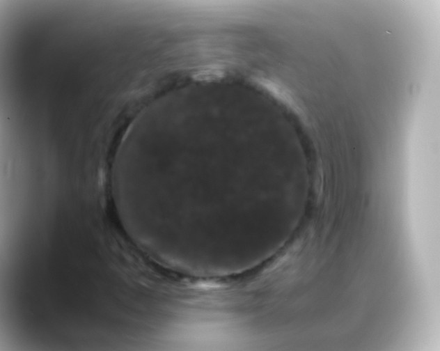 X0000088461445200706051316