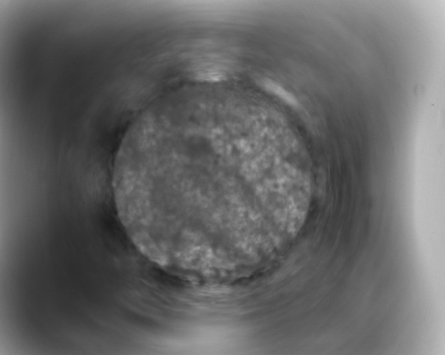 X0000088461446200706051316