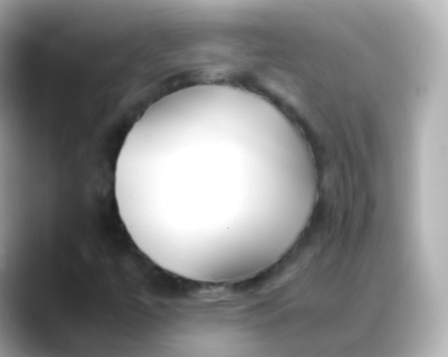 X0000088461447200706051316