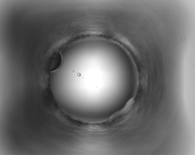 X0000088461448200706051316