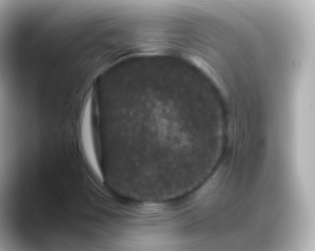 X0000088461449200706051316