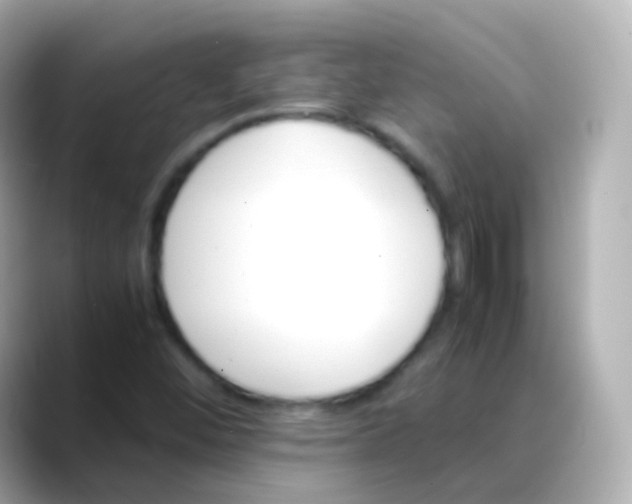 X0000088461452200706051316