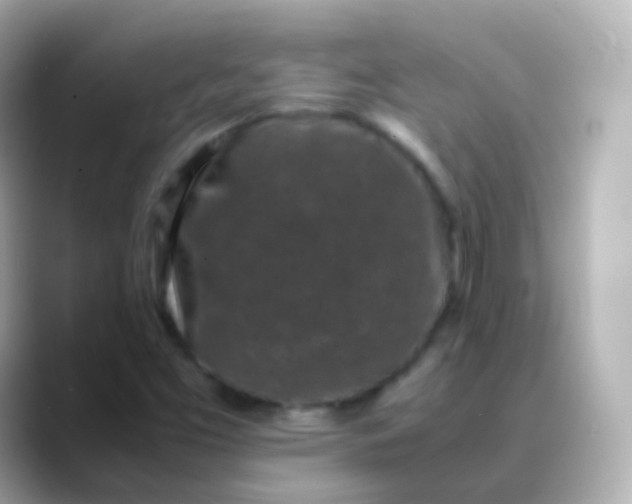 X0000088461453200706051316