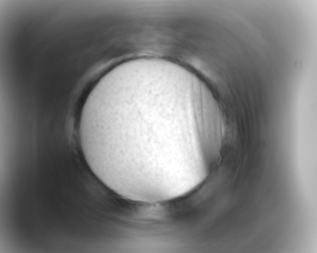 X0000088461454200706051315