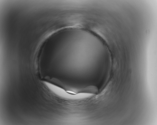 X0000088461455200706051315