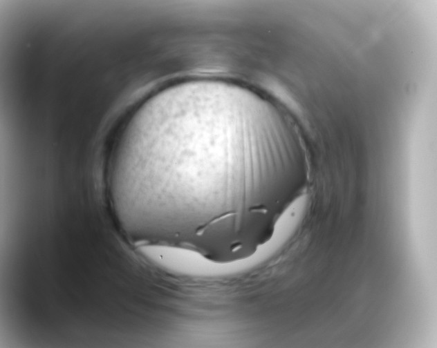 X0000088461456200706051315