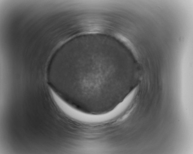 X0000088461457200706051315