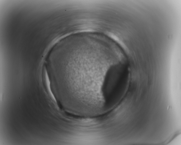 X0000088461459200706051315