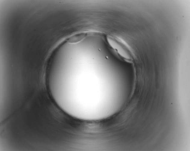 X0000088461460200706051315