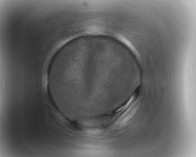 X0000088461461200706051315