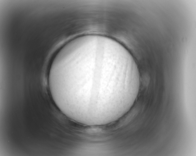 X0000088461462200706051315