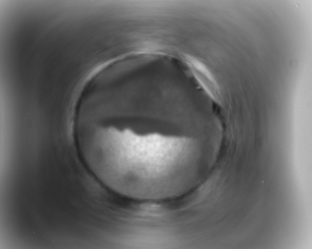 X0000088461463200706051315