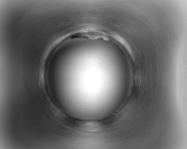 X0000088461464200706051315