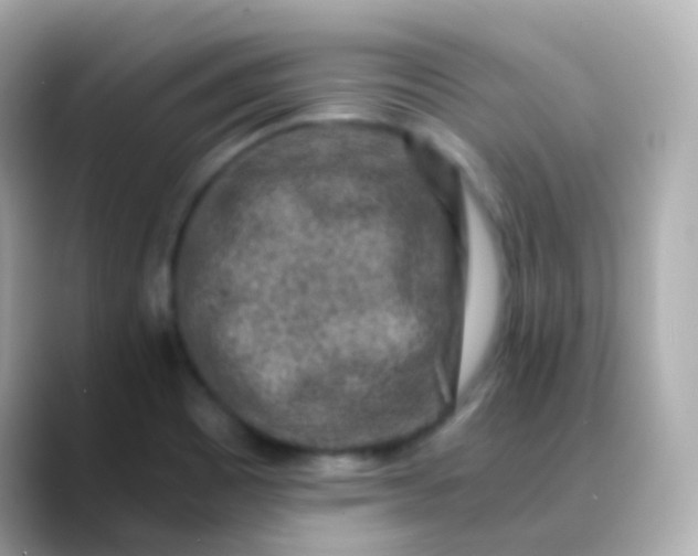 X0000088461465200706051315