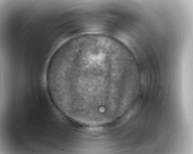 X0000088461466200706051315