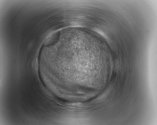 X0000088461467200706051315