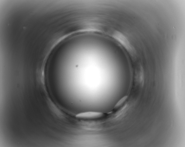 X0000088461468200706051315