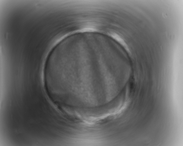 X0000088461469200706051315