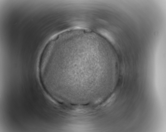 X0000088461471200706051315