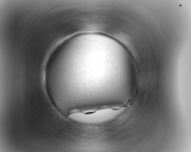 X0000088461472200706051315