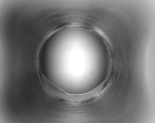 X0000088461473200706051315