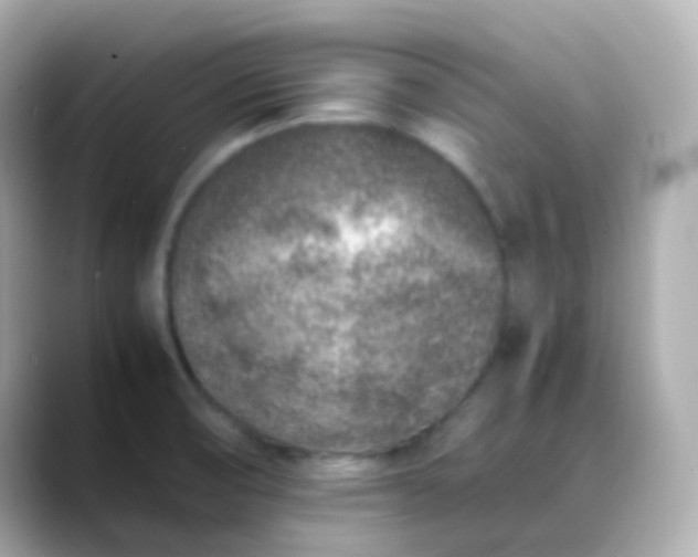 X0000088461474200706051315