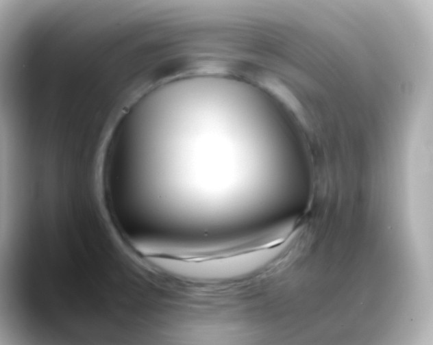 X0000088461475200706051315