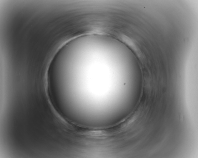 X0000088461479200706051315